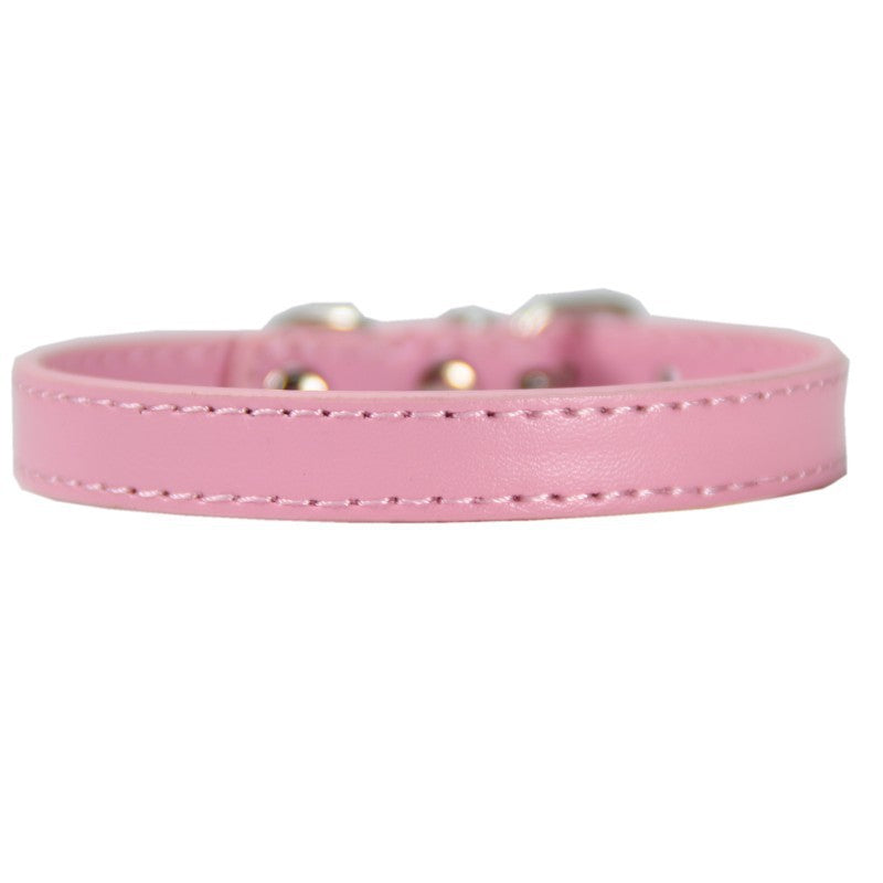 Large Pet Leash and Collar Set