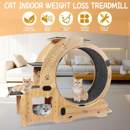 6-in-1 Cat Fitness Wheel