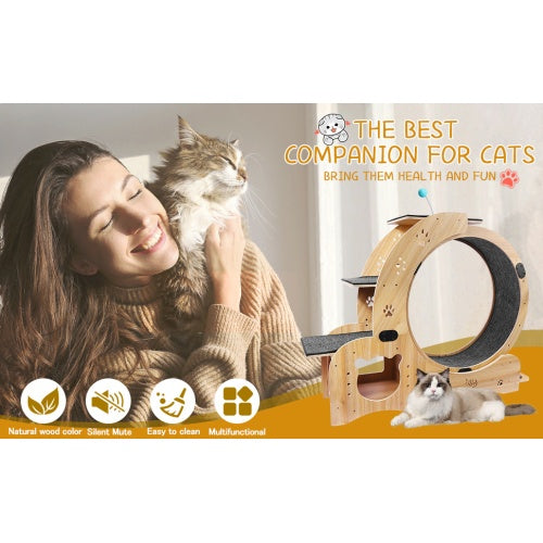 6-in-1 Cat Fitness Wheel