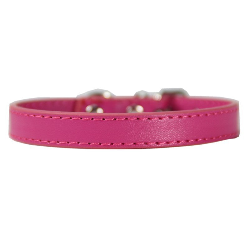Large Pet Leash and Collar Set