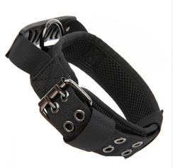 Camouflage Nylon Horse and Dog Collar