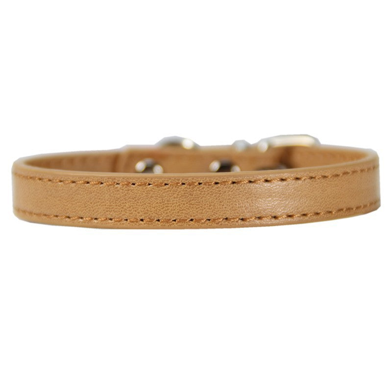 Large Pet Leash and Collar Set