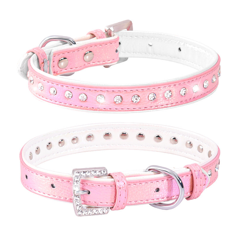 Adjustable Engraved Dog Collar and Leash for Small Dogs