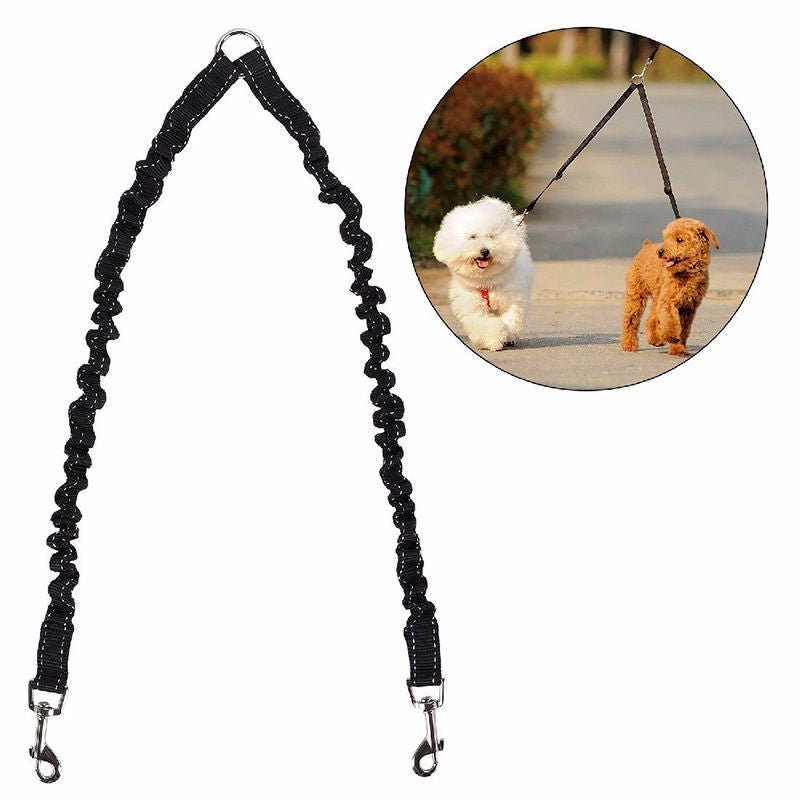Double Head Nylon Dog Leash and Collar Combo