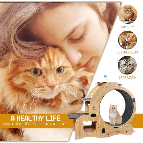 6-in-1 Cat Fitness Wheel