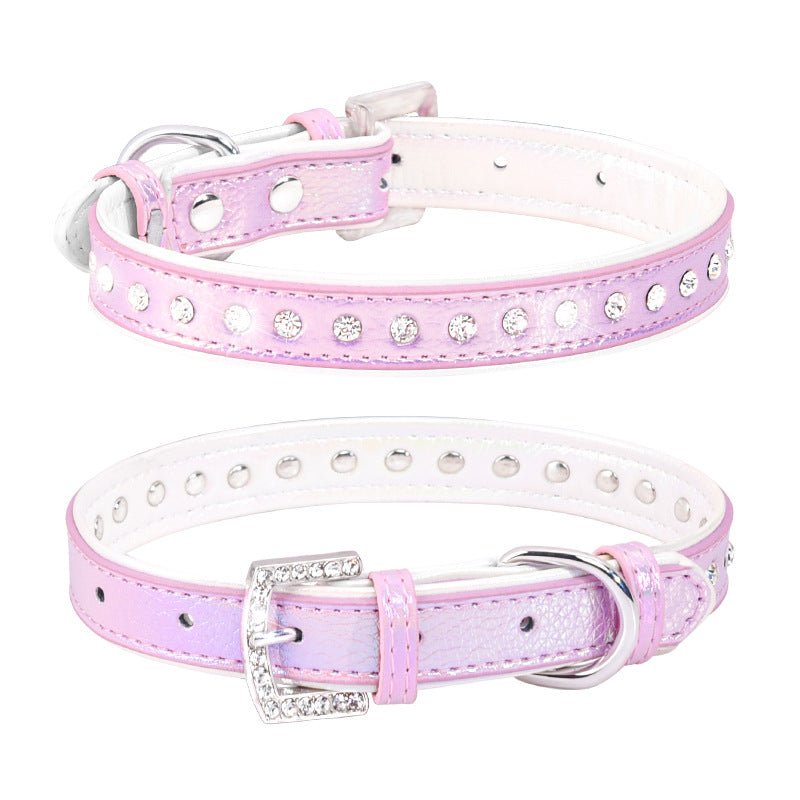 Adjustable Engraved Dog Collar and Leash for Small Dogs