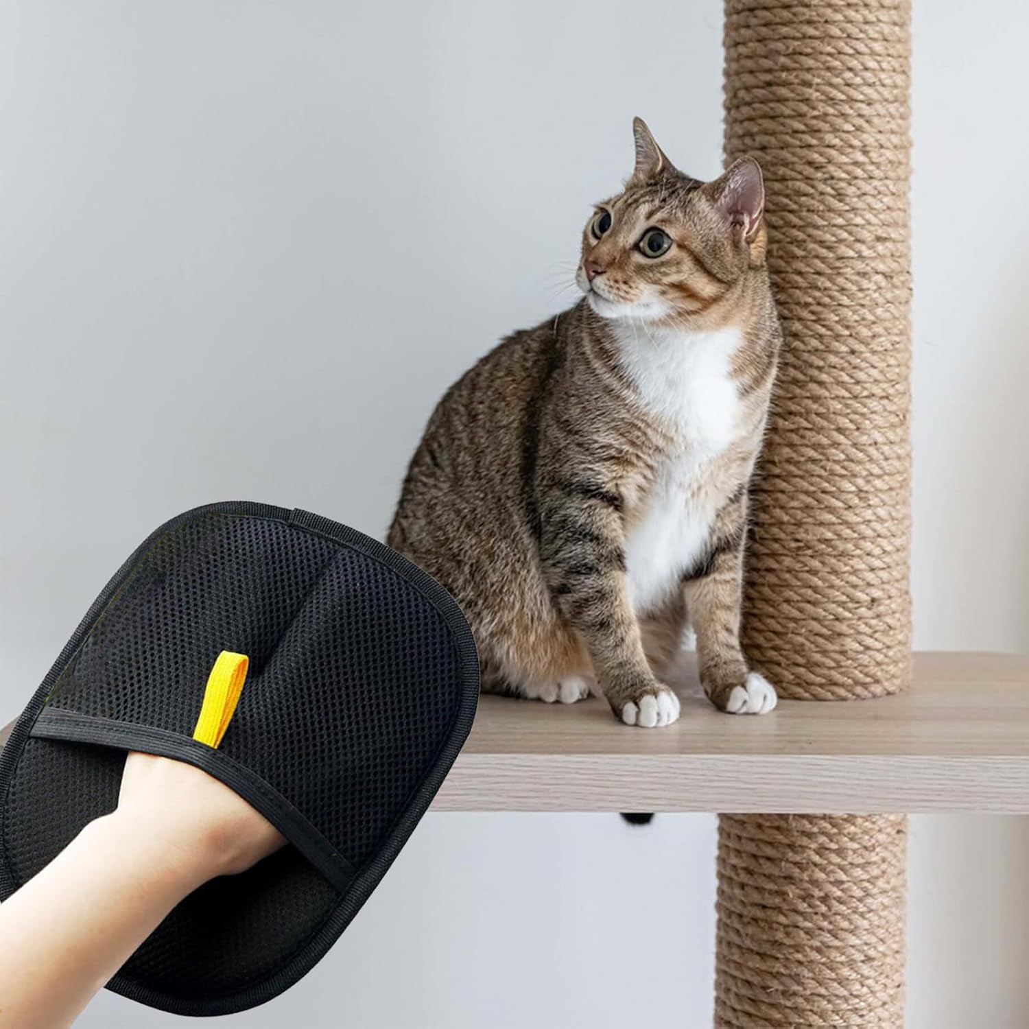 Pet Hair Removal Gloves