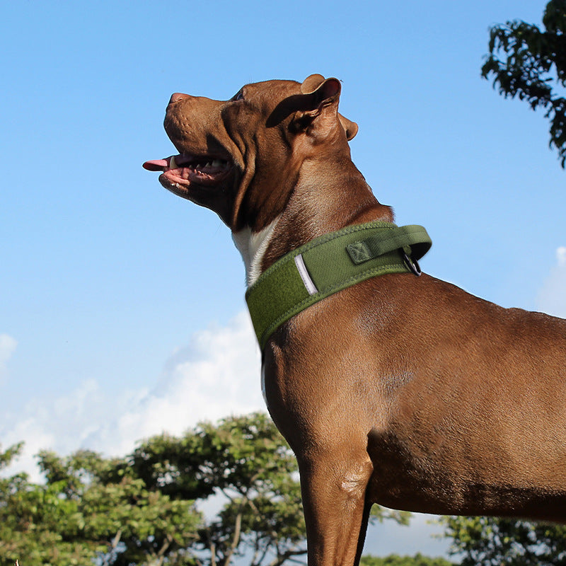 Camouflage Nylon Horse and Dog Collar
