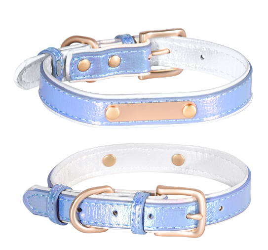 Adjustable Engraved Dog Collar and Leash for Small Dogs