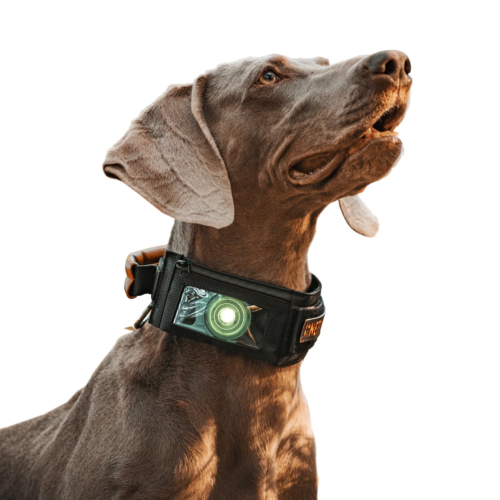 OneTigris Dog Collar Tactical Dog Collar Heavy Duty Training Dog Collar Adjustable GPS Dog Collar for AirTag with a Pouch and Control Handle for Medium Large Dogs(M)