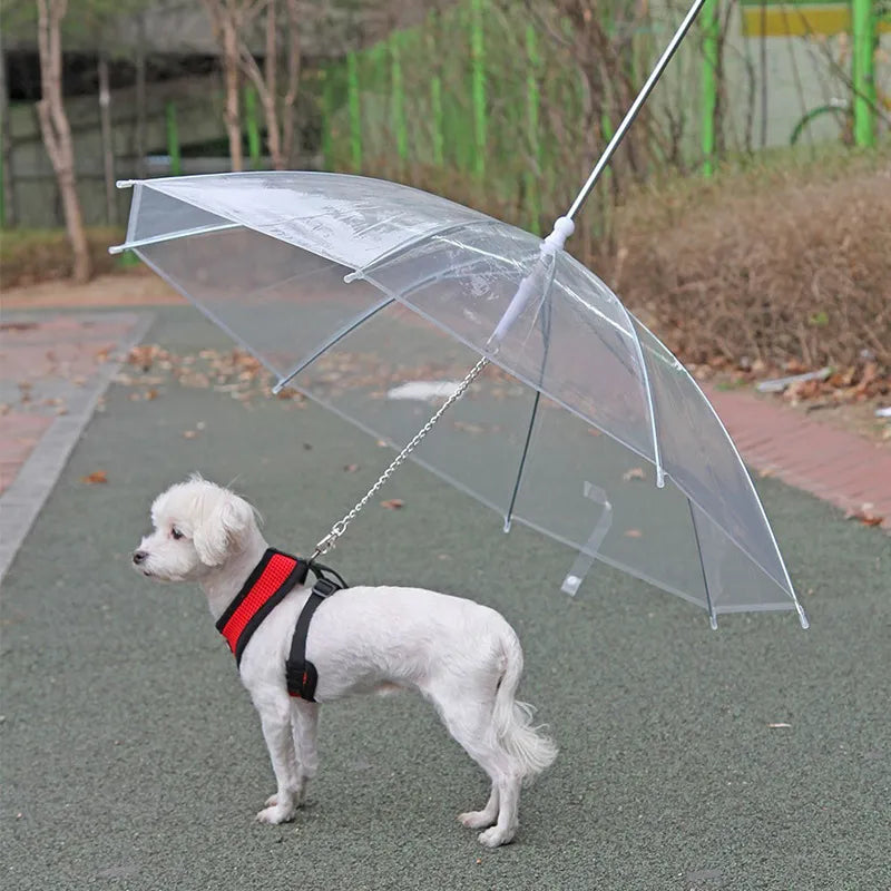 umbrella Leash Puppy Raincoat