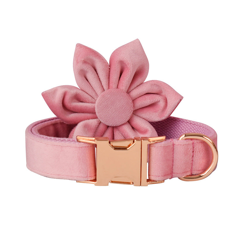 Goose Down Dog Collar with Rose Gold Buckle