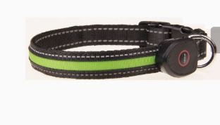 USB Rechargeable LED Dog Collar for Night Walks