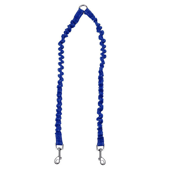 Double Head Nylon Dog Leash and Collar Combo