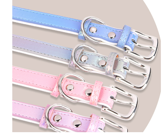 Adjustable Engraved Dog Collar and Leash for Small Dogs