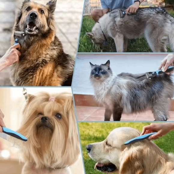 Professional  Pet Grooming Brush
