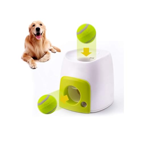 Automatic ball launcher