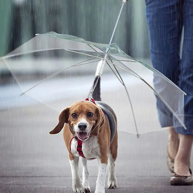 umbrella Leash Puppy Raincoat