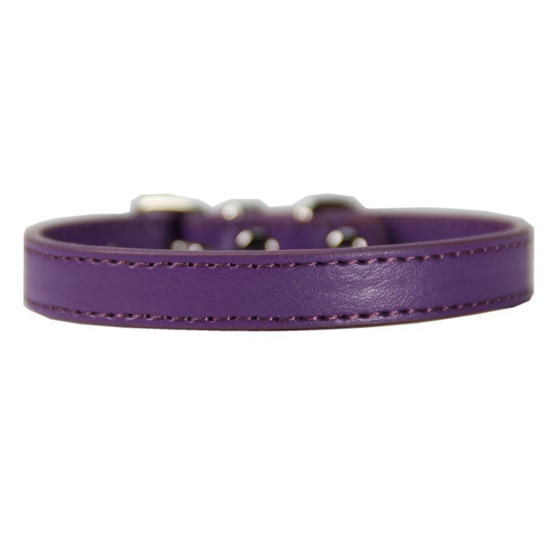 Large Pet Leash and Collar Set