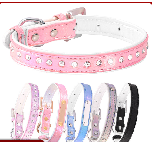 Adjustable Engraved Dog Collar and Leash for Small Dogs