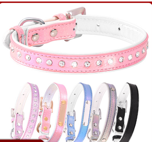 Adjustable Engraved Dog Collar and Leash for Small Dogs