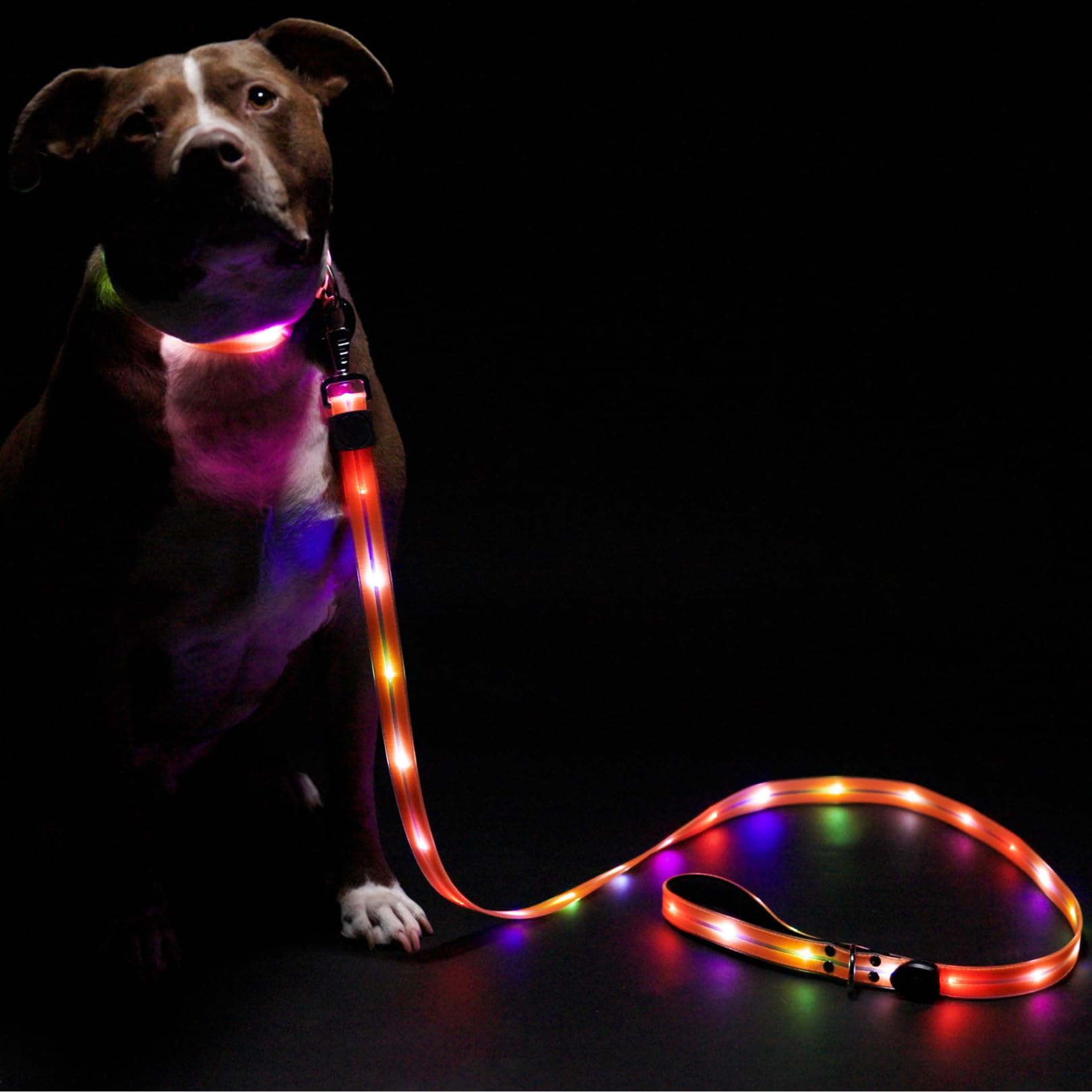 LumiLeash™ – LED Dog Leash
