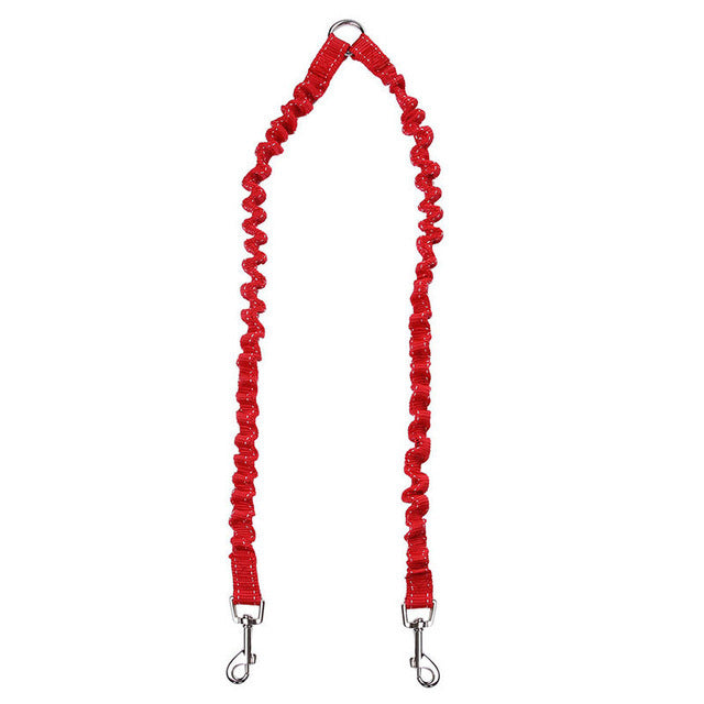 Double Head Nylon Dog Leash and Collar Combo