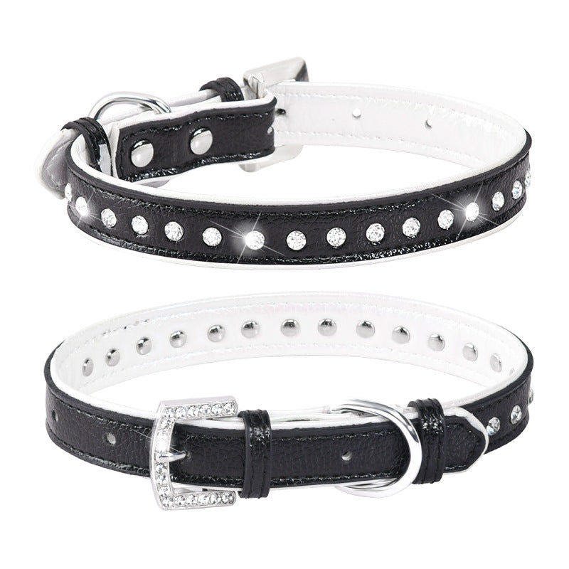 Adjustable Engraved Dog Collar and Leash for Small Dogs