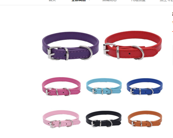 Large Pet Leash and Collar Set